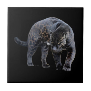 De Cerâmica Azulejo cerâmico Jaguar Diablo