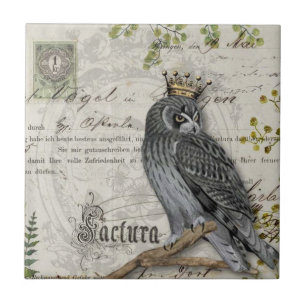 De Cerâmica Azulejo cerâmico - King Falcon