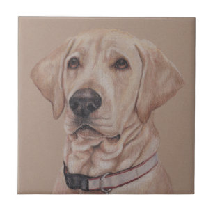 De Cerâmica Azulejo cerâmico Labrador Retriever Pet Dog
