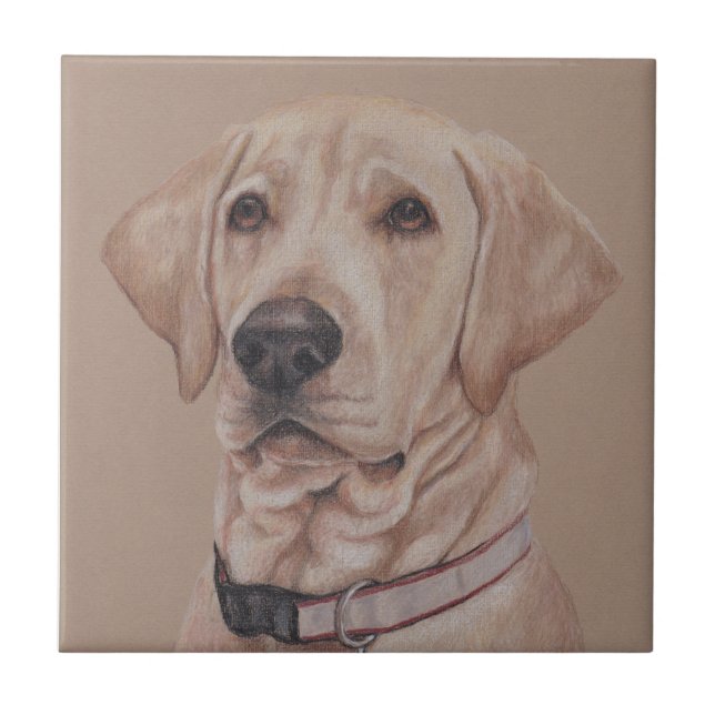 De Cerâmica Azulejo cerâmico Labrador Retriever Pet Dog (Frente)