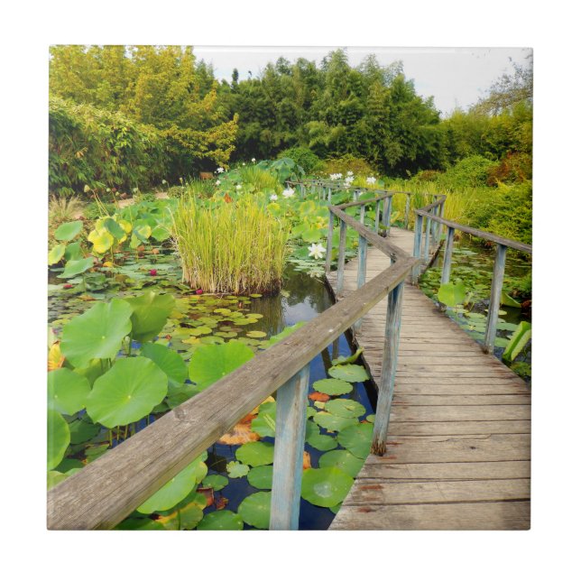 De Cerâmica Azulejo Cerâmico Lily Pond (Frente)