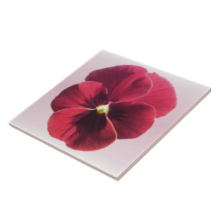 De Cerâmica Azulejo cerâmico - Pansy Vermelho Escuro