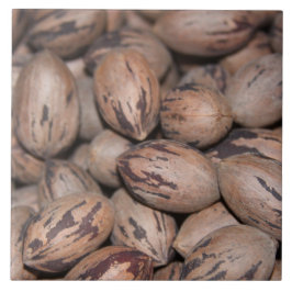 De Cerâmica Azulejo Cerâmico Pecan