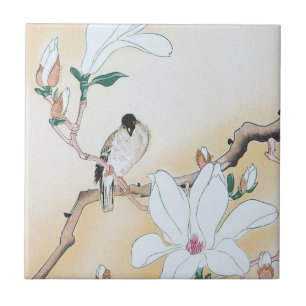 De Cerâmica Azulejo cerâmico pequeno (4,25" x 4,25")