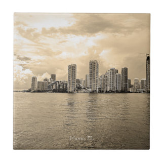 De Cerâmica Azulejo cerâmico personalizado - Miami, Flórida