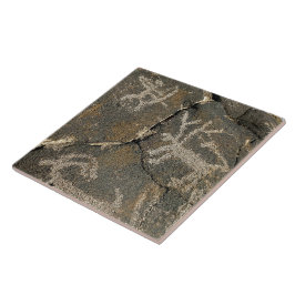 De Cerâmica Azulejo Cerâmico Petroglicph
