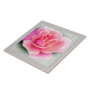 De Cerâmica Azulejo cerâmico PINK ROSE