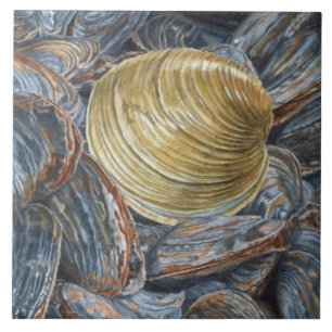 De Cerâmica Azulejo cerâmico Quahog e Clams