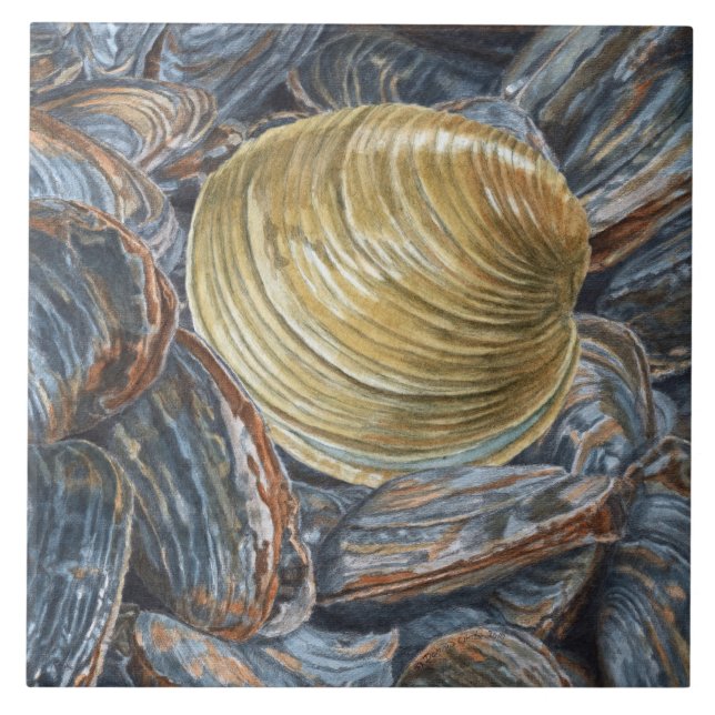 De Cerâmica Azulejo cerâmico Quahog e Clams (Frente)