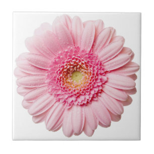 De Cerâmica Azulejo cerâmico rosa Gerbera Daisy