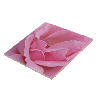 De Cerâmica Azulejo cerâmico rosa rosa rosa