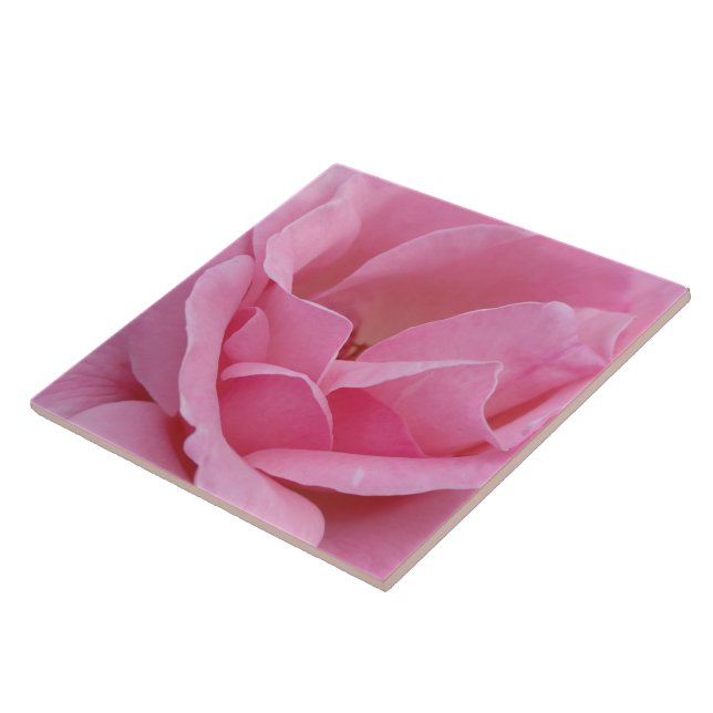 De Cerâmica Azulejo cerâmico rosa rosa rosa (Lateral)