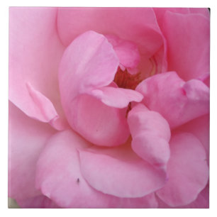 De Cerâmica Azulejo cerâmico rosa rosa rosa
