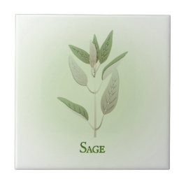 De Cerâmica Azulejo cerâmico Sage Herbal Design