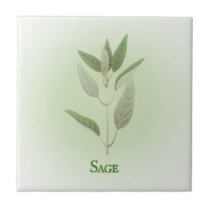 De Cerâmica Azulejo cerâmico Sage Herbal Design