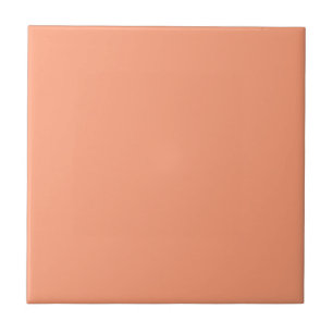 DE CERÂMICA AZULEJO CERAMICO - SALMÃO LEVE