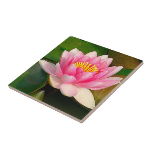 DE CERÂMICA AZULEJO CERÂMICO/SANGUE DO LOTUS