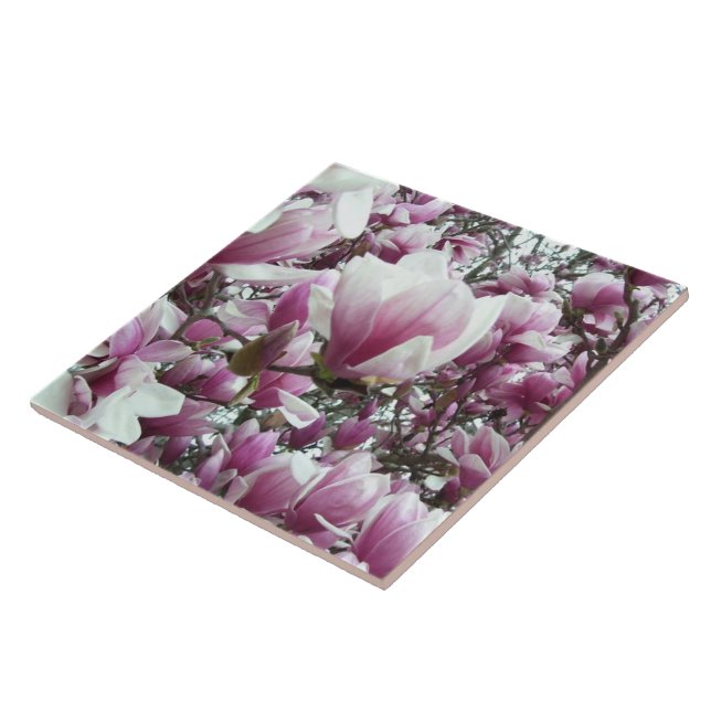 De Cerâmica Azulejo cerâmico - Saucer Magnolia (Lateral)