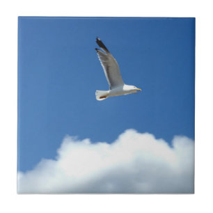 De Cerâmica Azulejo cerâmico Seagull