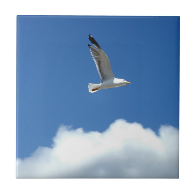 De Cerâmica Azulejo cerâmico Seagull (Frente)