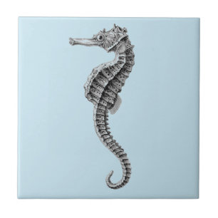 De Cerâmica azulejo CERÂMICO SEALIFE