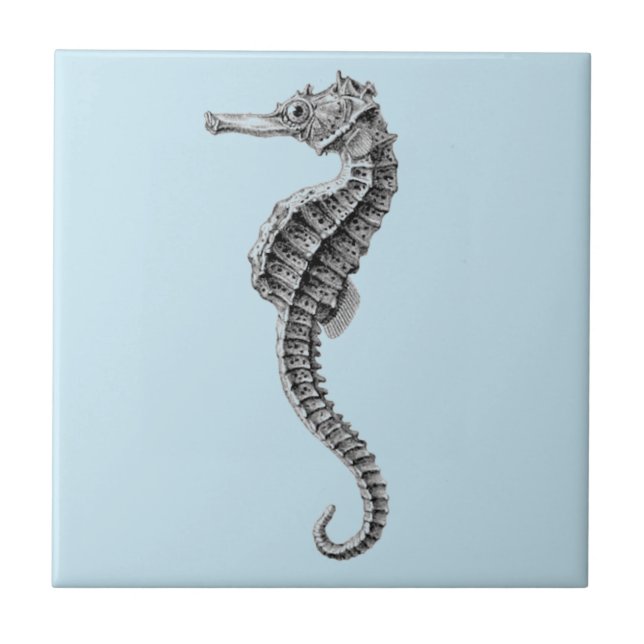 De Cerâmica azulejo CERÂMICO SEALIFE (Frente)