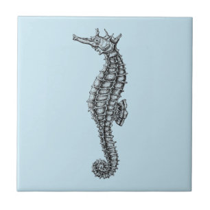 De Cerâmica azulejo CERÂMICO SEALIFE