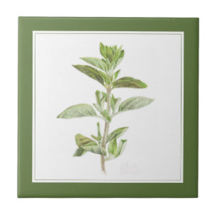 De Cerâmica Azulejo cerâmico (texto) FRESCO OREGANO 4.25 Verde