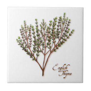 De Cerâmica Azulejo Cerâmico Thyme Herb Inglês