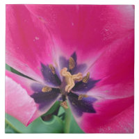Azulejo Cerâmico Tulip Rosa