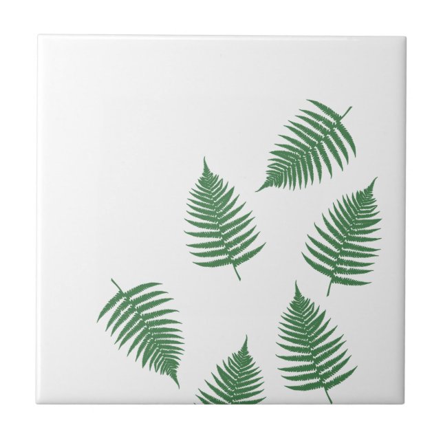 De Cerâmica Azulejo Cerâmico Verde Elegante Samambaia Sortuda (Frente)