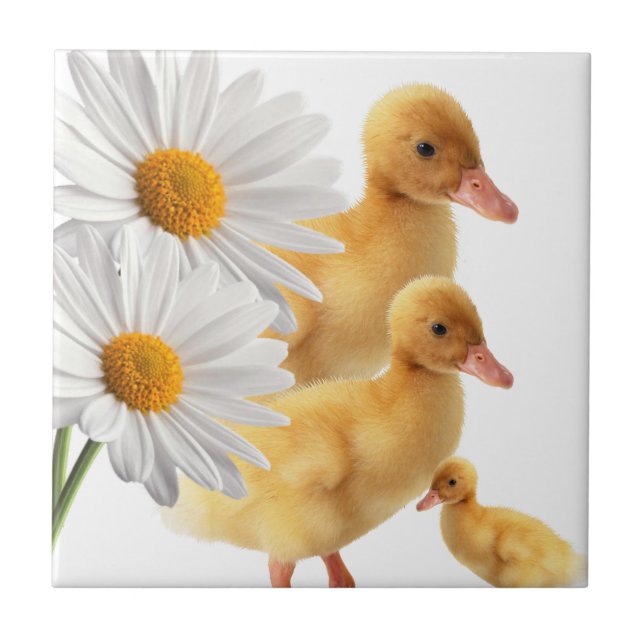 De Cerâmica Azulejo cerâmico White Daisy Floral (Frente)