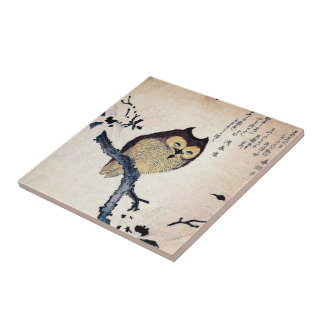 De Cerâmica Azulejo chinês da coruja do vintage - Trivet