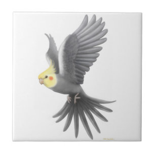 De Cerâmica Azulejo cinzento do papagaio do Cockatiel do vôo