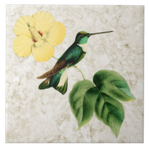 De Cerâmica Azulejo colocado um colar do colibri do Inca