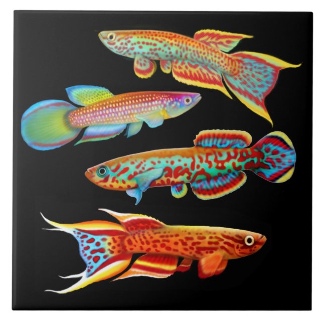 De Cerâmica Azulejo colorido do Killifish (Frente)