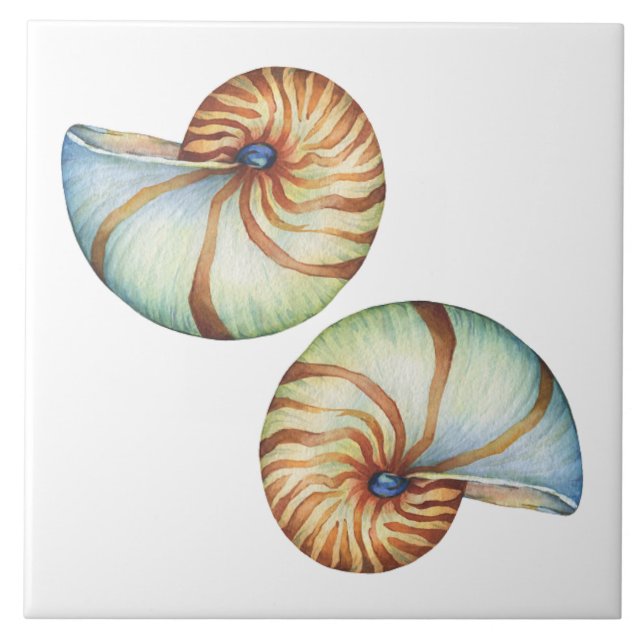 De Cerâmica Azulejo - Conchas do Mar (Frente)