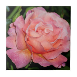 De Cerâmica Azulejo cor-de-rosa do inglês