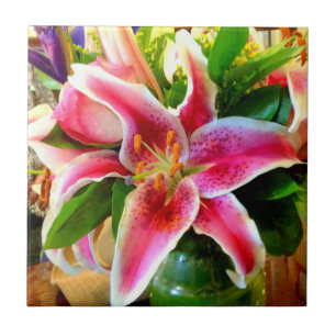 De Cerâmica azulejo cor-de-rosa do lírio do stargazer