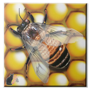 De Cerâmica Azulejo da abelha do mel