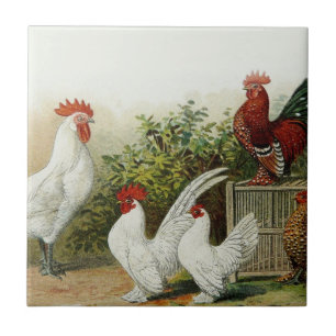 De Cerâmica Azulejo da arte