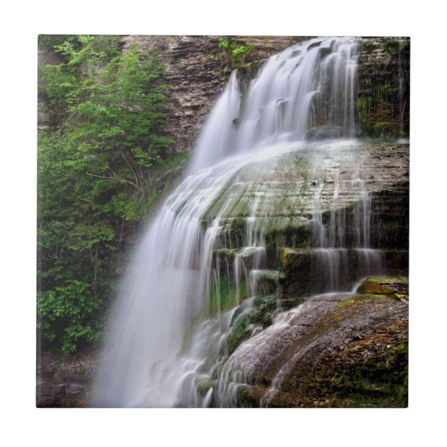 De Cerâmica Azulejo da cachoeira (Frente)
