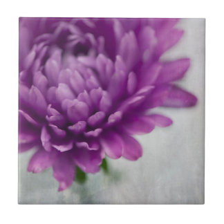 De Cerâmica Azulejo da flor da margarida em roxo e em cinzento