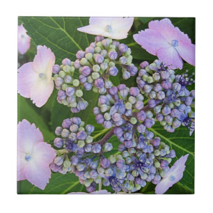 De Cerâmica Azulejo da flor do Hydrangea do boné do laço da
