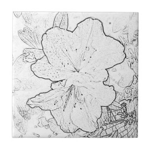 De Cerâmica Azulejo da flor preta & branca