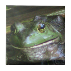 De Cerâmica Azulejo da foto da rã-gigante