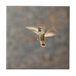 De Cerâmica Azulejo da foto do colibri!
