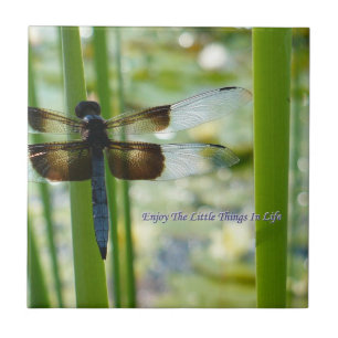 De Cerâmica Azulejo da libélula