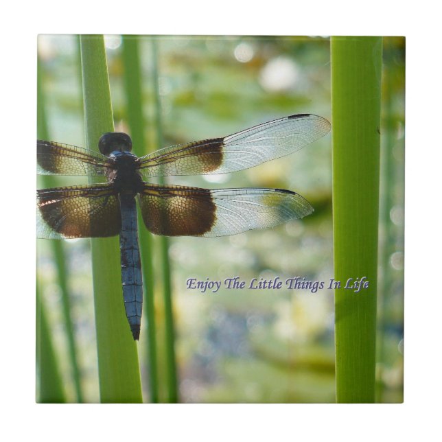 De Cerâmica Azulejo da libélula (Frente)