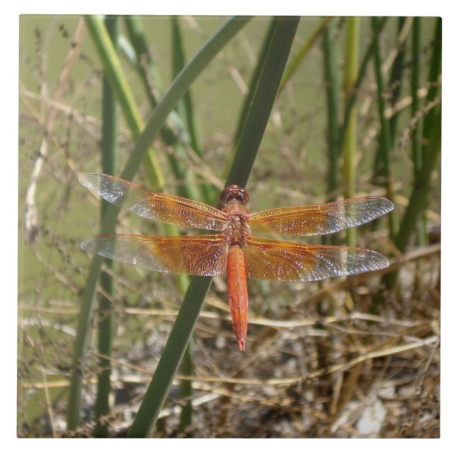De Cerâmica Azulejo da libélula (grande imagem) (Frente)